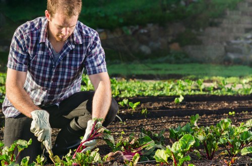 Workers and landscaping tools representing ethical labour standards