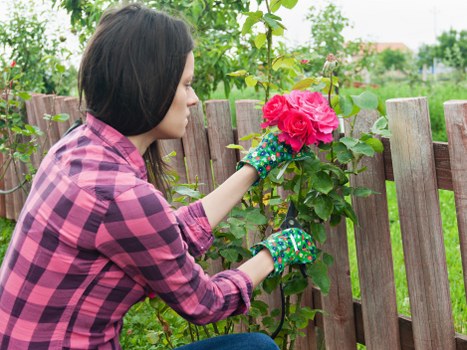 Supplier compliance review in a landscaping procurement process