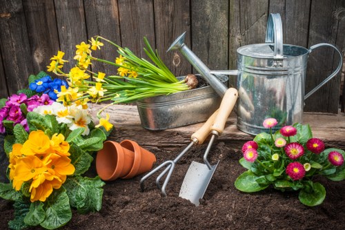 Low-maintenance artificial lawn for a local family garden