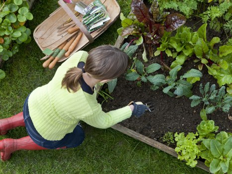 SSL-encrypted online landscaping payment process