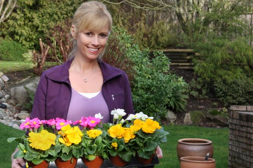 Low-maintenance garden build for a Uxbridge property with seating area